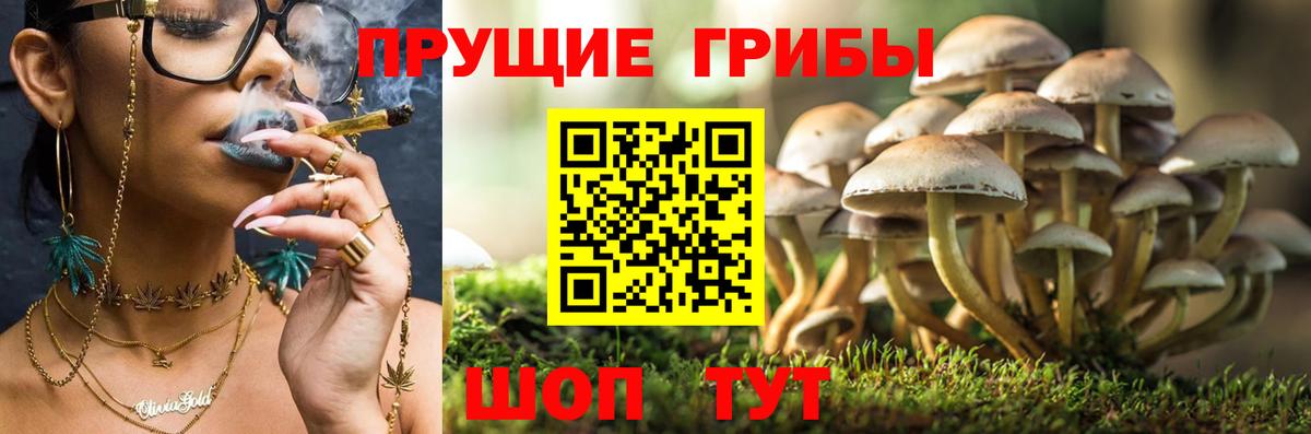Мурманск  Псилоцибиновые грибы мухоморы  Вход с VPN 